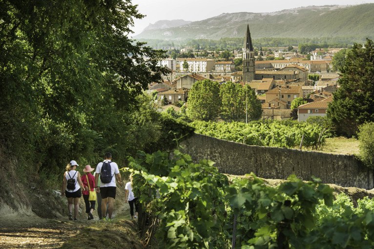 Discovery Excursions