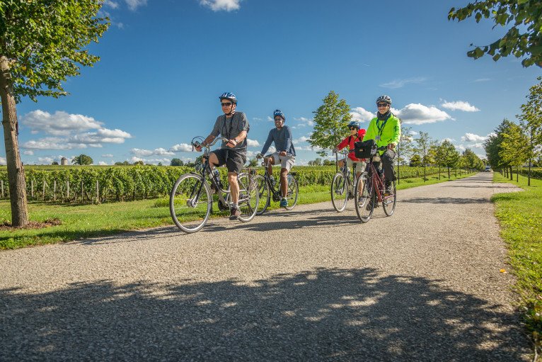 Guided Bike Tours