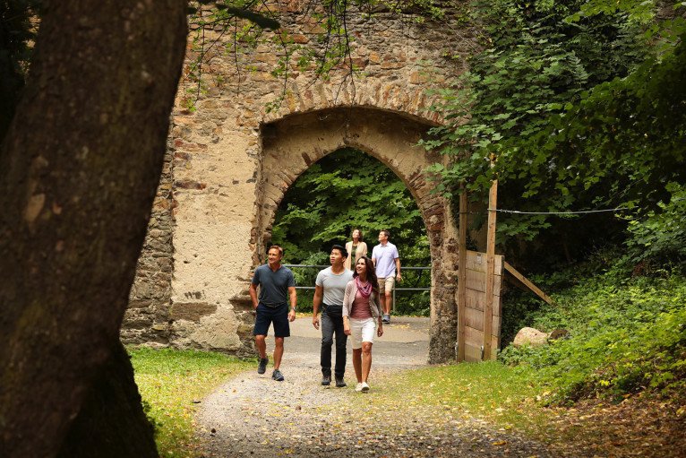 Guided Hiking Tours