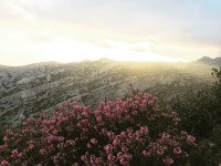 10 Image 10