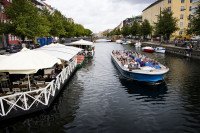 13 Image 13