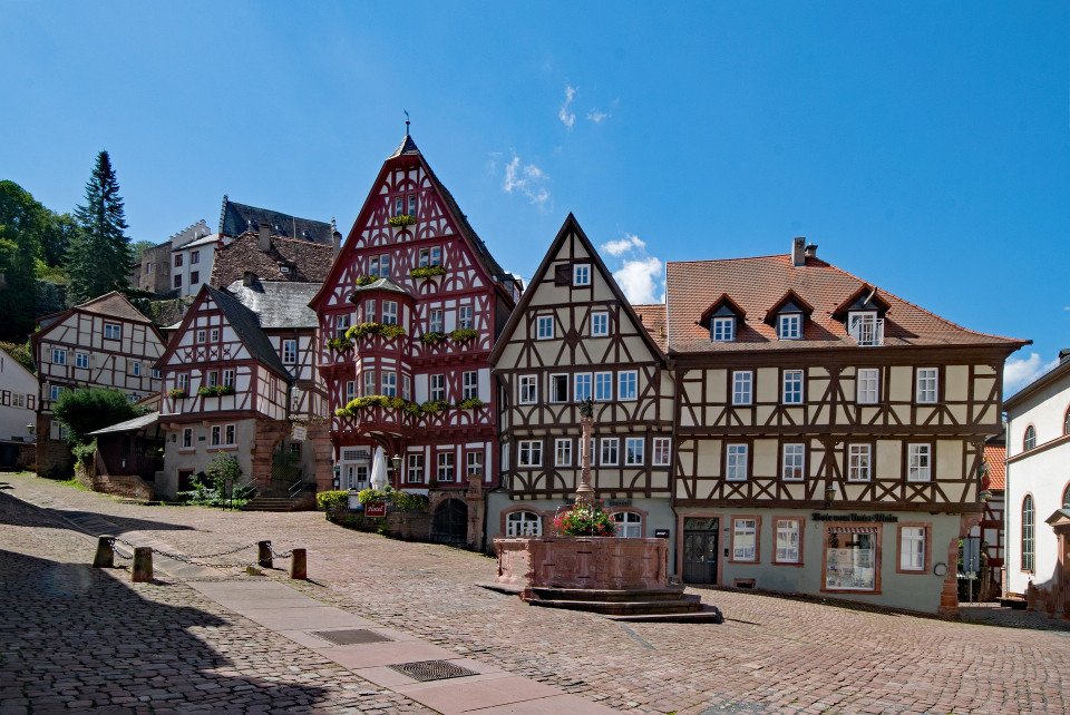 5 Image 5
