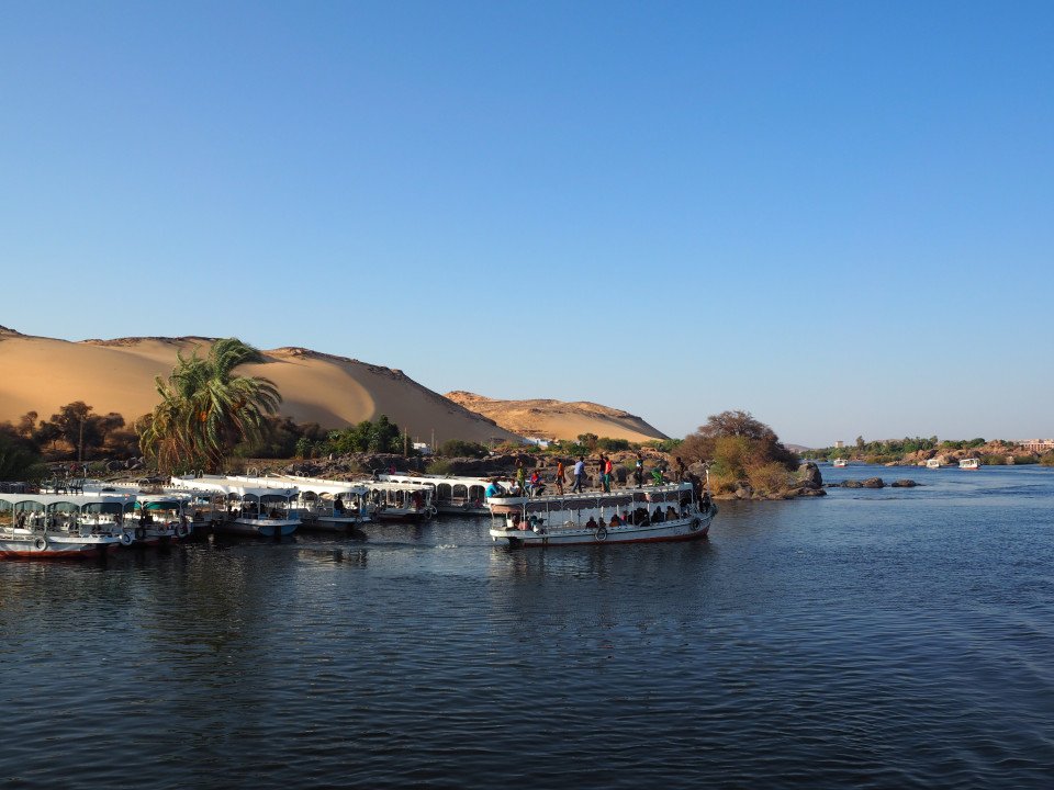 11 Image 11